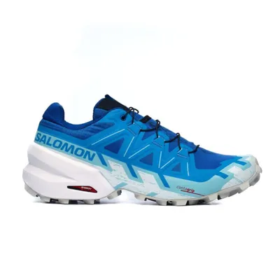 Image de Salomon Chaussures Speedcross 6 Lapis, L47301700