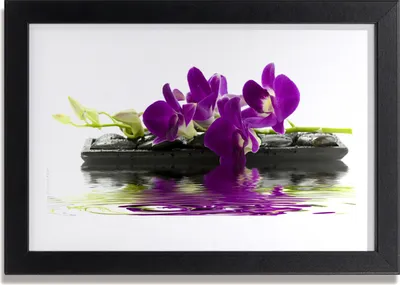 Produktbild von Bild 30x20 MDF-Rahmen Wandkunst Blumen Pflanzen Natur