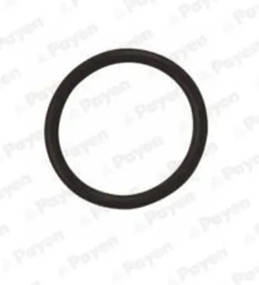 Produktbild von PAYEN Dichtring Ölablaßschraube LA5120 für OPEL Corsa D Schrägheck (S07) 2mm NBR (Nitril-Butadien-Kautschuk) 18mm 22mm