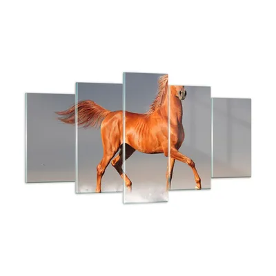 Produktbild von Bilder auf glas - Tiere Pferd Galopp Geschwindigkeit - 160x85cm - Glasbilder - Wandbilder - Kunstdruck - Wanddekoration aus Glas - Glas Bilder - Wandbild auf Glas - GEA160x85-2590