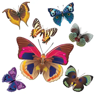 Produktbild von AG Design Wandstickers Schmetterlinge, 30 x 30 cm