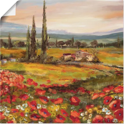 Produktbild von ARTland Poster Mohnblumen und Zypressen Größe: 50x50 cm