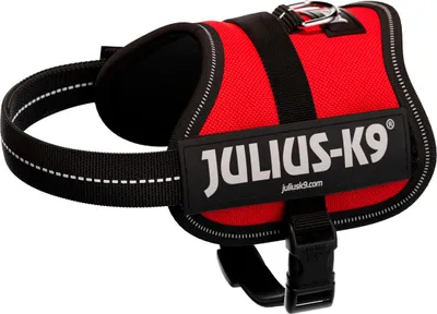 Immagine prodotto di Julius-K9® Power harness® Baby 1-Mini 33-45 cm/18 mm rosso