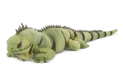 Produktbild von Plüschtier Leguan 53 cm,  Kuscheltiere Stofftiere Eidechsen Echse Waran
