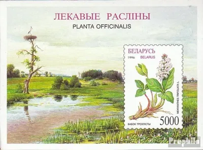 Produktbild von Briefmarken Weißrussland 1996 Mi Block11 (kompl.Ausg.) postfrisch Heilpflanzen