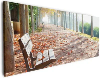 Produktbild von Wallario Premium Leinwandbild Einsame Parkbank an einer Allee - Herbststimmung in Größe 50 x 125 cm