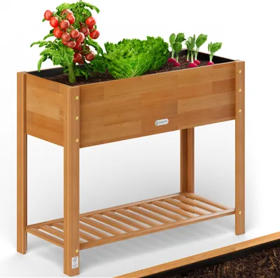 A raised garden bed filled with plants, including tomatoes and lettuce, on a white background.