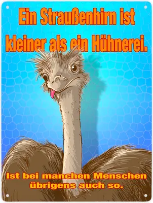 Produktbild von Metallschild XXL in 28x38 cm Spruch - Ein Straußenhirn ist kleiner als ein