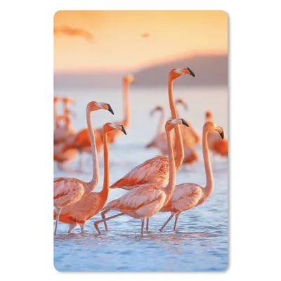 Produktbild von MuchoWow® Mauspad Mousepad Flamingo - Tiere - Wasser - Rosa 18x27 cm - Mousepads - Maus Mat - Pad - Mausunterlage