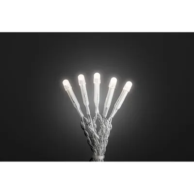 Produktbild von Konstsmide Weihnachtsbeleuchtung  Micro LED Lichterkette gefrostet 100 warmweiße Dioden