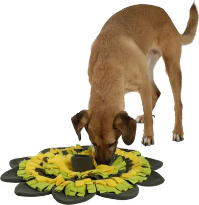 Zdjęcie produktu dla Mata węchowa dla psa Sunflower, Ø 60 cm, Kerbl