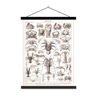 Produktbild von MuchoWow® Textilposter Meerestier - Hummer - Schwarz - Weiß 40x53 cm mit schwarzem Rahmen - Abbildung