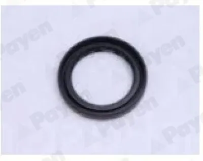 Produktbild von PAYEN Wellendichtring Radnabe NJ743 Hinten Rechts für TOYOTA LAND CRUISER (PZJ7, KZJ7, HZJ7, BJ7, LJ7, RJ7) NBR (Nitril-Butadien-Kautschuk) 35mm 48mm