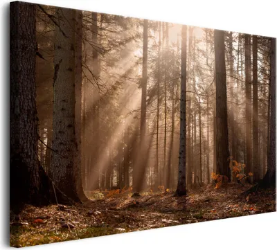 Zdjęcie produktu dla Obraz na płótnie na ścianę do salonu Dekoracja Leśny krajobraz 60x90