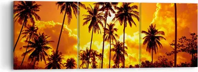 Produktbild von Bild auf Leinwand - Leinwandbild - Palmen Bäume Sonne - 90x30cm - Wand Bild - Wanddeko - Wandbilder - Leinwanddruck - Bilder - Kunstdruck - Wanddekoration - Leinwand bilder - Wandkunst - CA90x30-0187
