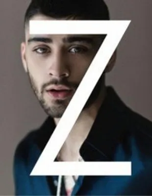 Productafbeelding van Zayn