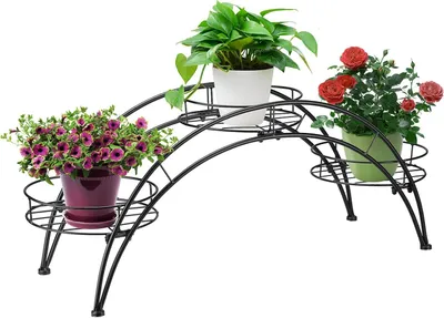 Image de Support métallique pour plantes - en forme d'arc - pour l'intérieur et l'extérieur - noir