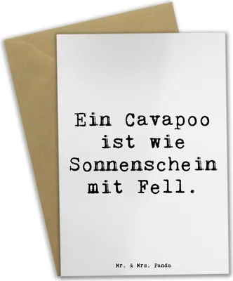 Produktbild von Mr. & Mrs. Panda Grußkarte Spruch Cavapoo Sonnenschein - Weiß - Geschenk, Hunderassen Charakter, Hunderasse, osterkarten, fröhlicher Hund, einladungskarten, dankeskarten