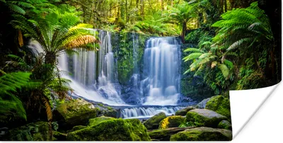 Produktbild von MuchoWow® Poster Dschungel - Wasserfall - Australien - Pflanzen - Natur 160x80 cm - Foto Poster