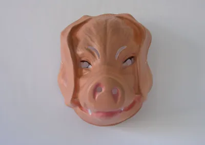 Produktbild von Erwachsenen Maske mit Gummizug Schwein