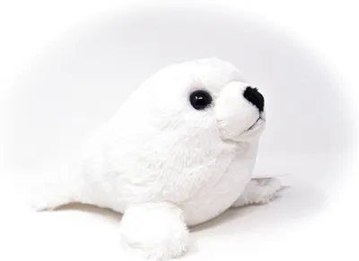 Image de Cornelissen - Doudou - phoque blanc - 20 cm