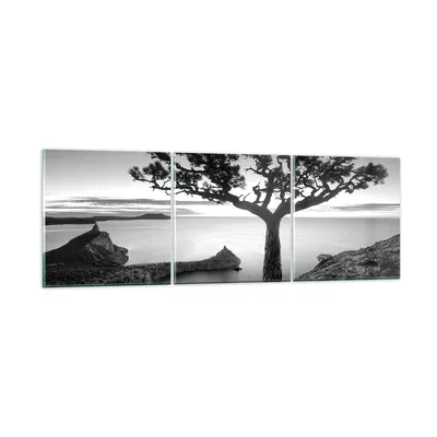 Produktbild von Bilder auf glas - 3 Teile - Baum Schwarzweiß Ansicht - 150x50cm - Glasbilder - Wandbilder - Bilder - zum Aufhängen bereit - Wanddekoration aus Glas - Glas Bilder - Wandbild auf Glas - GCA150x50-4297