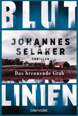 Image de Blutlinien - Das brennende Grab: Thriller - Atmosphärisch und hoch spannend – die Nr.-1-reihe aus Schweden! (Die Blutlinien-Reihe, Band 2)