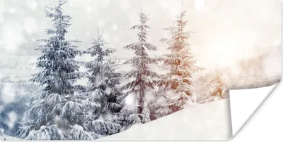 Produktbild von MuchoWow® Poster Baum - Schnee - Winter 150x75 cm - ohne Rahmen