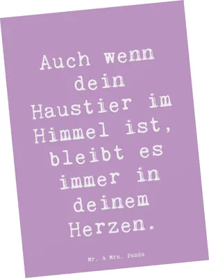 Produktbild von Mr. & Mrs. Panda Postkarte Spruch Trauerbewältigung Haustierverlust - Lavendeltraum - Geschenk, einzelkarte, Hoffnung, Ansichtskarte, weiterleben, Postkarten, Trost, Mut