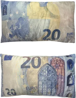 Obrázek produktu pro Dekorační polštář bankovka 20 Eur 30x50cm
