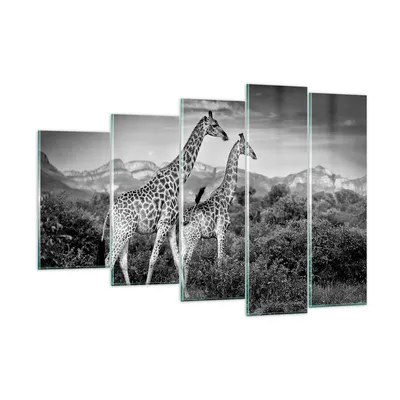 Produktbild von Bilder auf glas - 5 Teile - Giraffen Schwarzweiß Fotografie - 150x100cm - Glasbilder - Wandbilder - Bilder - Wanddekoration aus Glas - Glas Bilder - Wandbild auf Glas - GEG150x100-4441