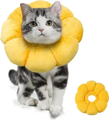 Produktbild von Sonnenblume Heilkragen für Katzen - Verstellbarer Schutzkragen für Kätzchen und kleine Hunde (M) 1 Stück