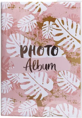 Image de EXACOMPTA 62223E EXACOMPTA stock album Citation, 225 x 325 mm, assorti