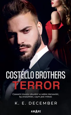 Produktbild von Terror Costello Brothers powieść
