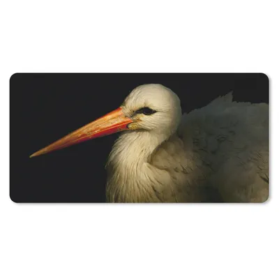 Produktbild von MuchoWow® Mauspad Mousepad Vogel - Schnabel - Federn 60x30 cm - Mousepads - Maus Mat - Pad - Mausunterlage - Nachhaltig