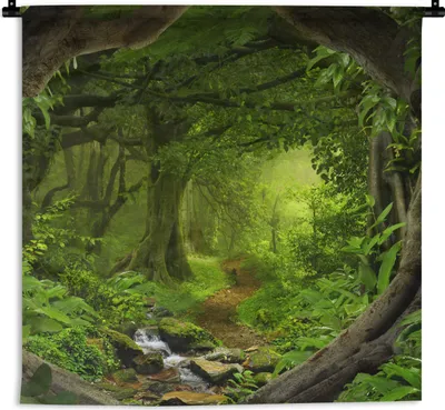 Produktbild von MuchoWow® Wandteppich Wandbehang Dschungel - Grün - Natur - Tropisch - Pflanzen 120x120 cm Tapisserie Dekoration Wandtuch - Modern - Baumwollgewebe