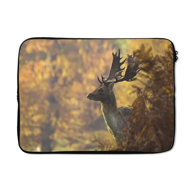 Produktbild von MuchoWow® Laptop Hülle 14 ZollHirsche - Geweihe - Herbst Laptoptasche - Laptoptasche - Stoßsicher - Schutzhaube