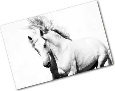 Produktbild von Tulup Glas Herdabdeckplatte - 80x52 cm - Glaskeramikkochfeld-Abdeckung Spritzschutz Glasabdeckplatte - Einteilig - Tiere - Weißes Pferd - Weiß