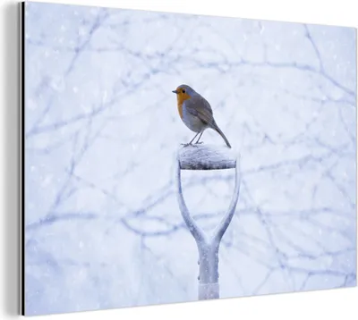 Obrázok produktu pre Nástenná dekorácia Kovový kovový obraz Wall Art 150x100cm Robins - Zima - Záhrada Muchowow Hliníkové obrazy