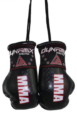 Produktbild von Dynamix Athletics Autospiegel Mini Boxhandschuhe MMA