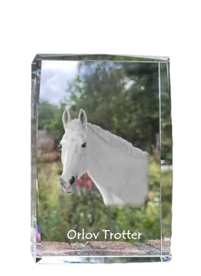 Obrázek produktu pro Art-Dog Fotorámeček – Orlovský klusák