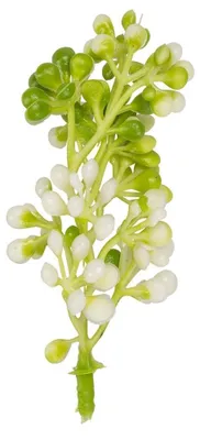 Kunstblumenknospen weiß 8 cm 9 Stück Frühlingsdekoration