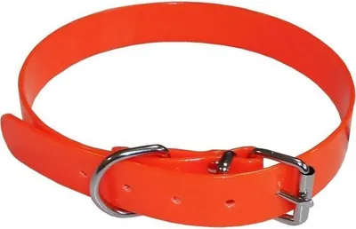 Image de Collier pour chien AIME, Fluo Hunt, Taille M 52-57 cm, PVC Orange fluo, Renforcé Nylon