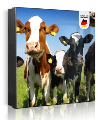 Zdjęcie produktu dla banjado metalowa szafka na klucze, duża 30x30 cm z 32 haczykami, może służyć jako tablica magnetyczna, czarny korpus, zawias po prawej stronie, Kühe [SKG1 10225]