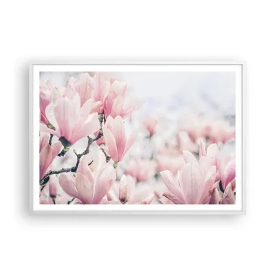 Produktbild von Gerahmtes Poster - Weißer Rahmen - Magnolie Blumen Rosa - 100x70 cm - Wand Bild - Wanddeko - Wandbilder - Kunstposter - Wandposter - Bilderrahmen - Bilder - Kunstdruck - P2WAA100x70-4396