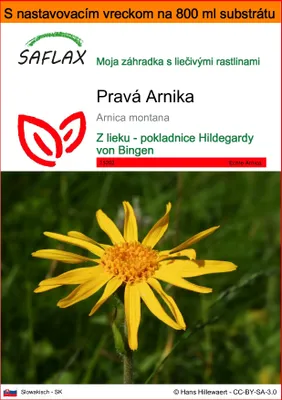 Obrázok produktu pre SAFLAX Garden in the bag - Pravá Arnika - Arnica montana - 40 Semená - S pestovateľským substrátom v praktickom samostaviteľnom vrecku