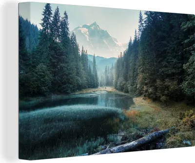 Zdjęcie produktu dla OneMillionCanvasses® - Obraz na płótnie - Obraz na płótnie - Obraz na płótnie - Las - trawa - góry - drzewa - natura - 150x100cm - Fotografia na płótnie