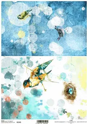Zdjęcie produktu dla Papier ryżowy do decoupage ITD-R1545 - A4 ptak