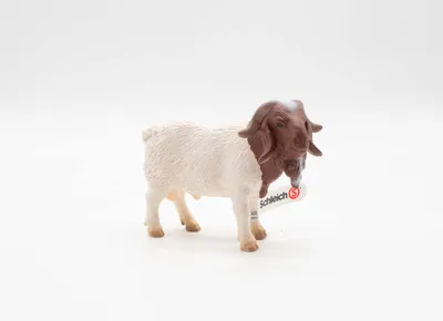 Produktbild von Schleich 13258 - Burenziegenbock