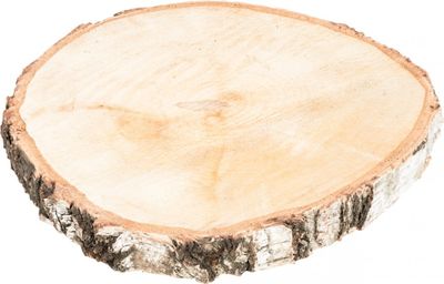 Birkenscheibe Ø20-30cm x2-3cm